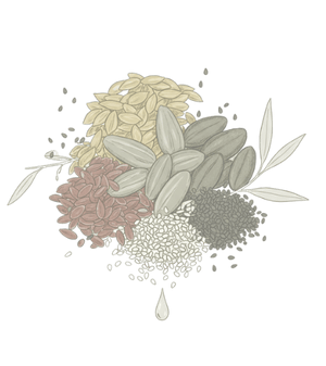 Projekt bez nazwy 2025 11 29T125705.336